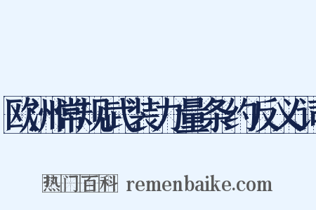 欧洲常规武装力量条约反义词是什么意思的图片